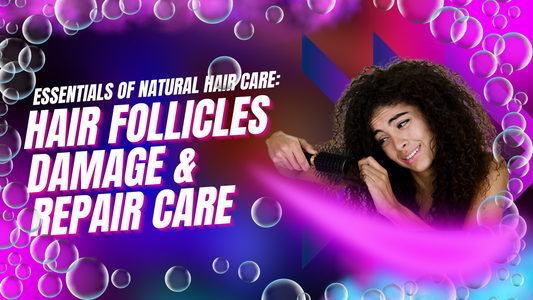 Essentials of Natural Hair Care: HAIR FOLLICLES DAMAGE & REPAIR CARE